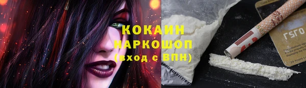 мдпв Елабуга