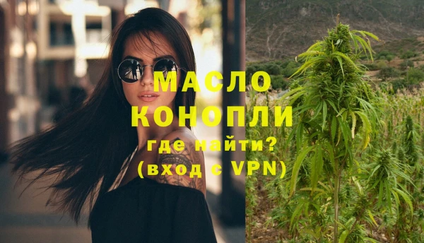 дмт Елизово
