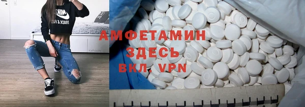 мдпв Елабуга