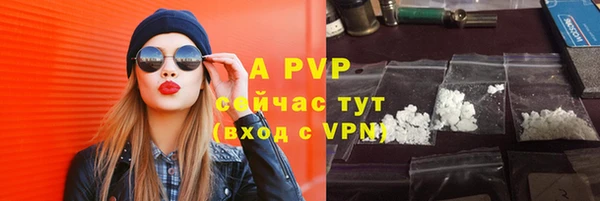мдпв Елабуга
