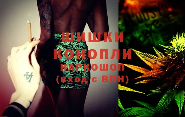 mdpv Ельня