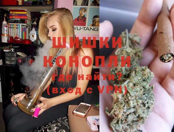 дмт Елизово