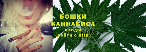 mdpv Ельня