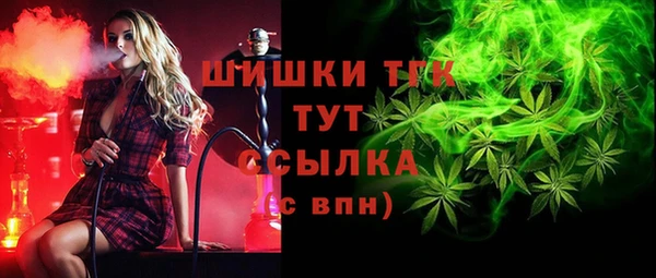 mdpv Ельня