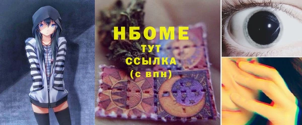 мдпв Елабуга