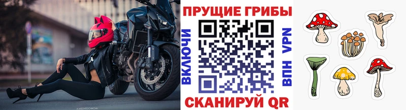 Псилоцибиновые грибы ЛСД  Купить закладки  Ачхой-Мартан 